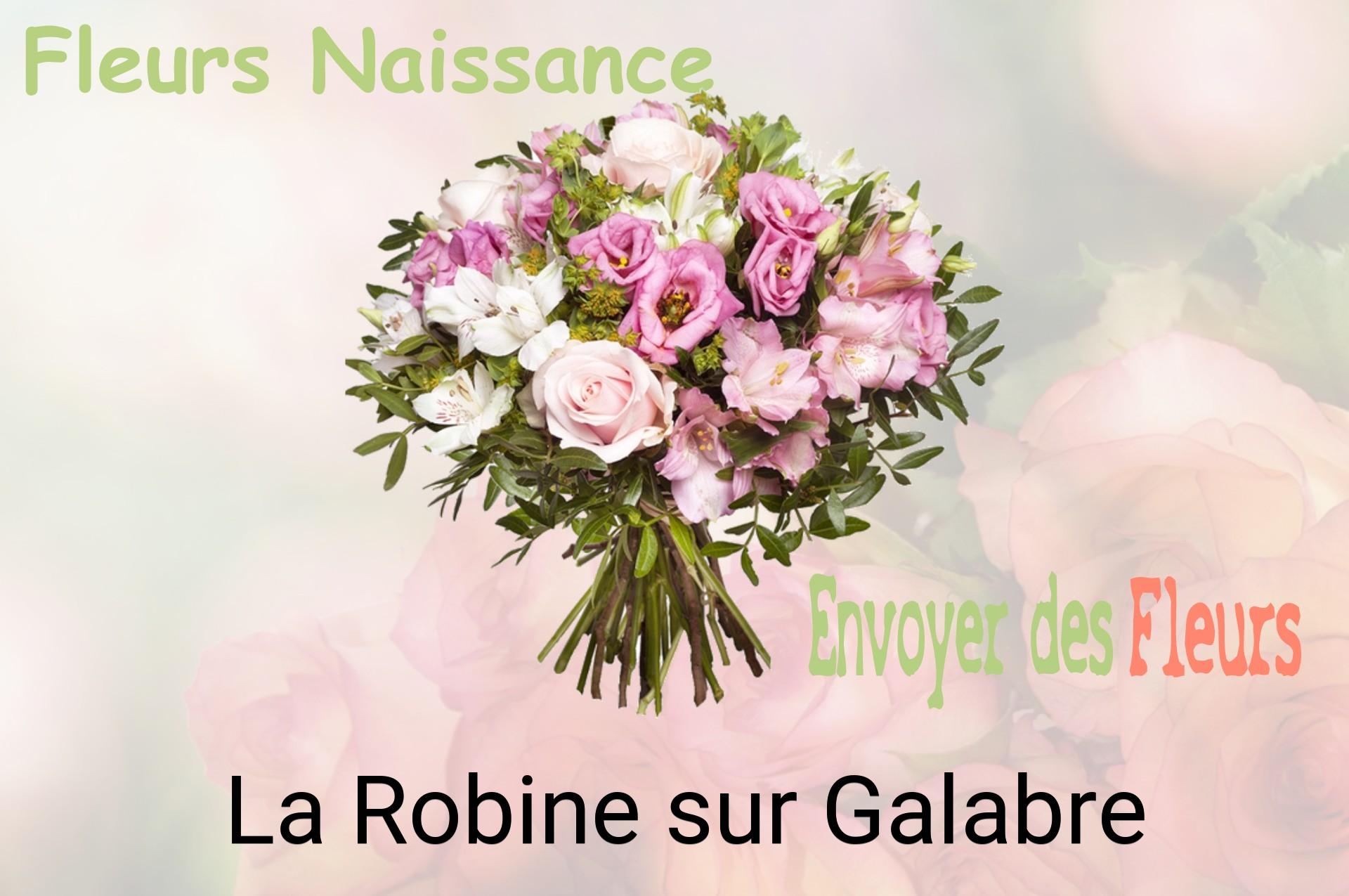 Bouquet de fleurs de naissance livré à La Robine-sur-Galabre